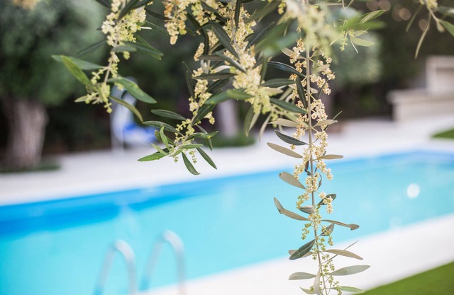 Corina Suites and Apartments
