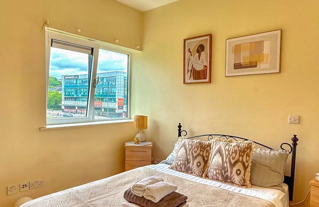 Cork City Comfort Park and Pillow