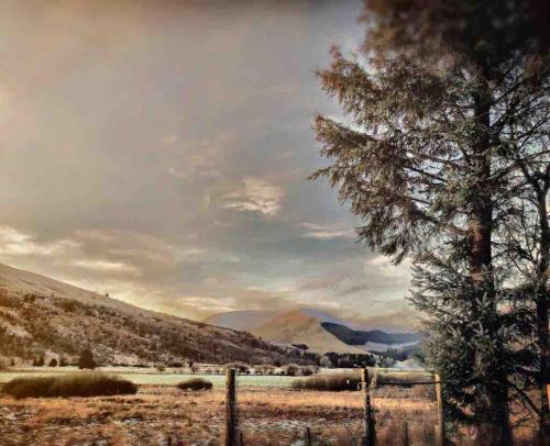 Corlae Cottage, mountain and forest views