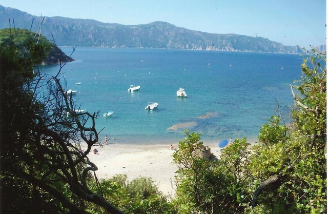 CORSICA, Gulf of Porto, house with terrace and garden, magnificent sea view