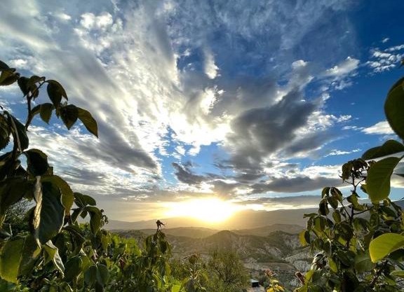 Cortijo Zacatecas