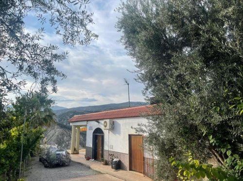 CORTIJO ZACATECAS