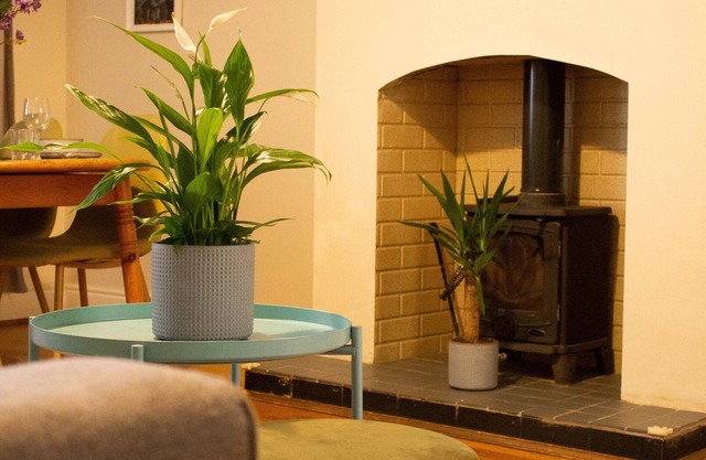 Cosy 2-bedroom home in trendy Portobello