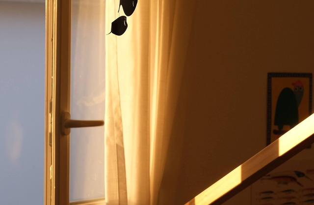Cosy apartment 15 minutes from the beaches and the Vélodyssée cycle route