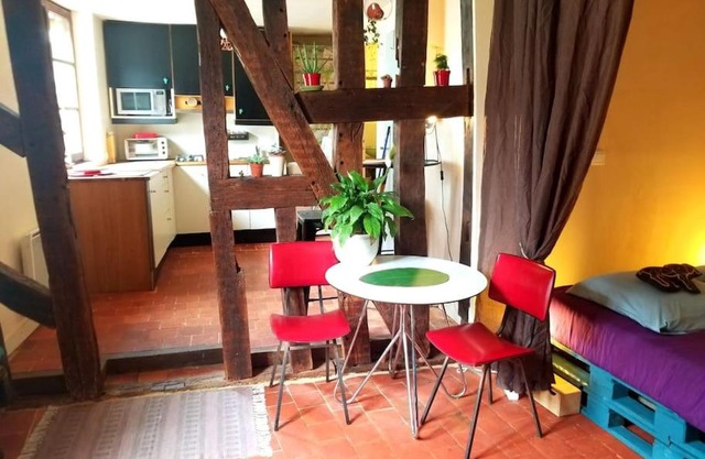 Cosy Apartment by the magical Marais de Bourges