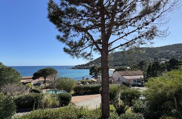 Bonito apartamento con piscina, WIFI, A/C, terraza, mascotas permitida y aparcamiento