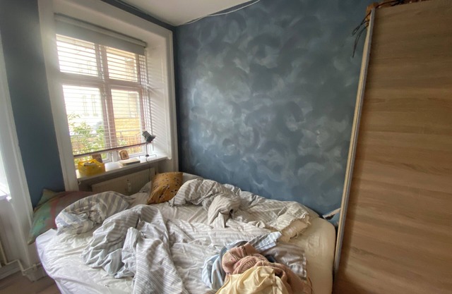 Cosy Apartment in Central Copenhagen