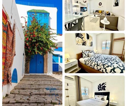 COSY Apartment in Sidi Bou Said Village