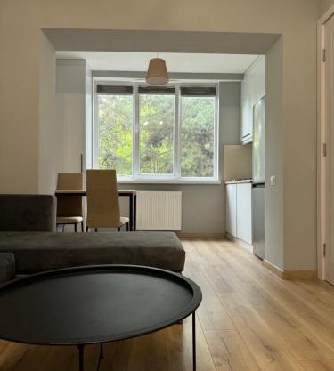 Cosy apartment in the city center