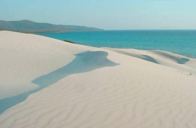 Nuevo apartamento a 400 metros de las playas y calas. Wi-Fi privada.