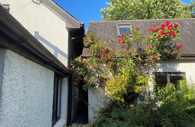 Cosy chalet, ideal for couples. The perfect base for exploring Glencoe.