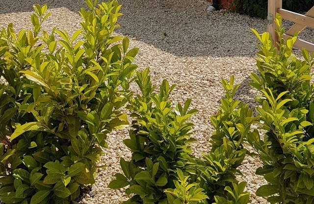 Acogedora casa de campo en Wiltshire