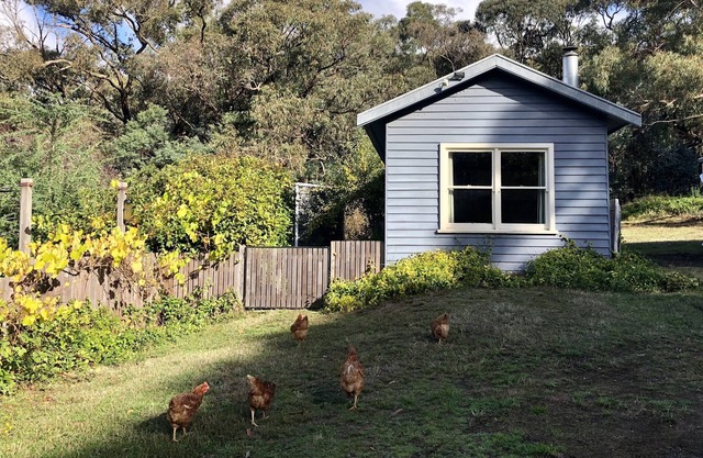 Cosy cottage with fire place and close to Daylesford