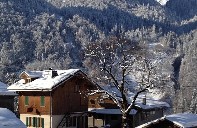 Duplex Chalet Apartment - Ski a puerta