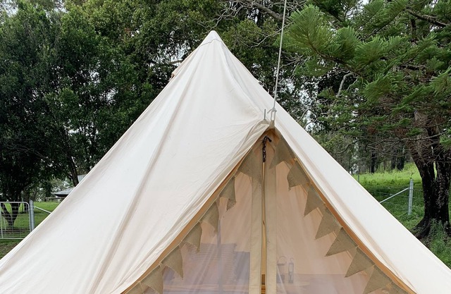 Cosy glamping tent with mountain views… and friendly moos
