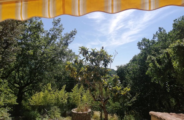 Cosy house, nestled in nature, 5 minutes from the center