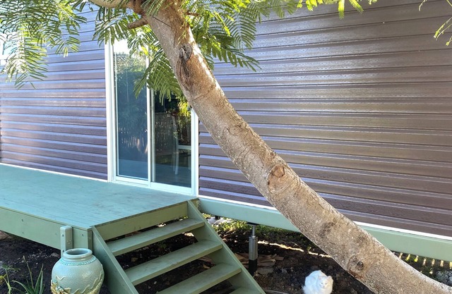 Cosy little cabin 5 minutes from the beach.