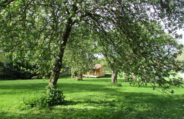 Bramley Orchard Glamping