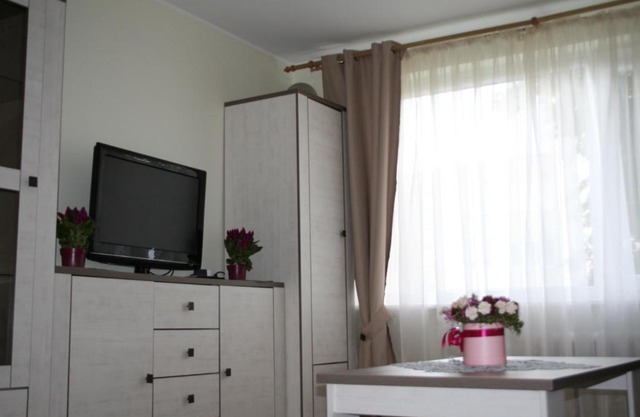 Cosy one room apartment