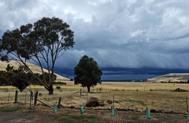 Cosy retreat in between Talbot and Clunes