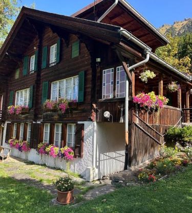 Cosy Traditional Swiss Chalet