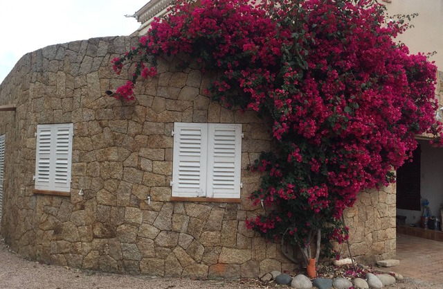 Coti Chiavari: Casa / villa / chalet - Coti chiavari