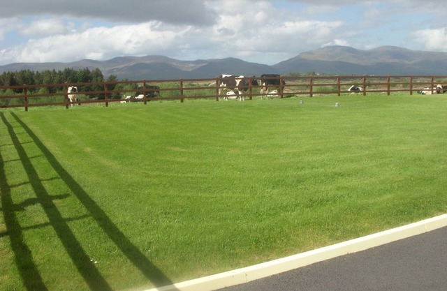 Casa rural en un entorno relajante en la ruta del Anillo de Kerry en el Atlántico salvaje / w