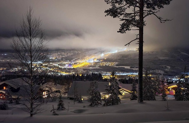 Alojamiento de 4 habitaciones en Trysil