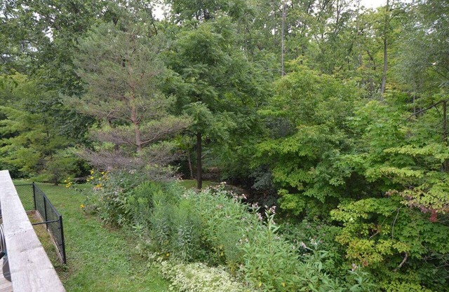 Cottage in the city, 4 acres with walking trails