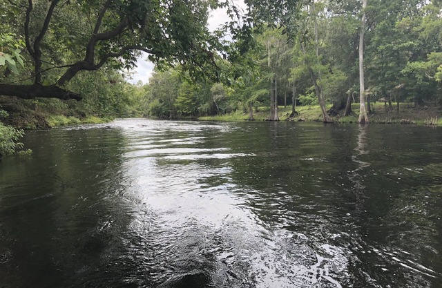 Rodeado de Crystal Clear Springs