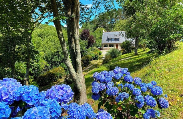 Cottage Ty Lora (secluded location, in front of the bay)