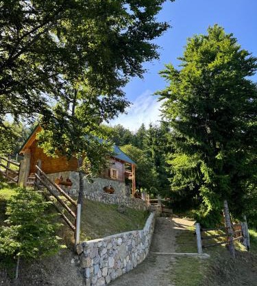 Cottage Under the Tresnjevik