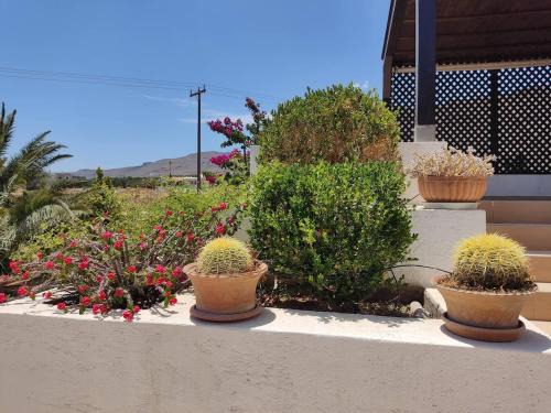 Cottage with 1 bedroom in the most wonderful place - Amare