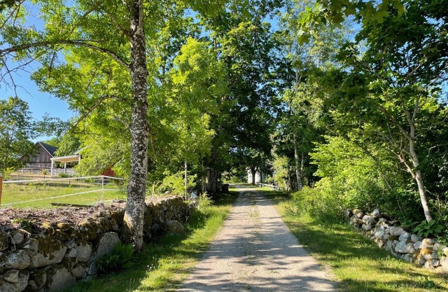 Cottage with beautiful nature, open landscape, forest and lakes