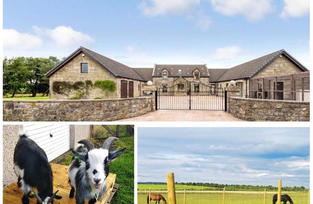 Cottage with Panoramic Views