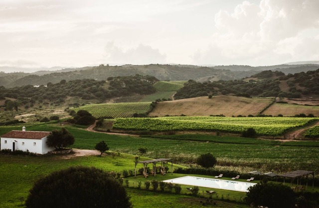 Impresionantes cabañas con piscina, viñedo y vistas impresionantes