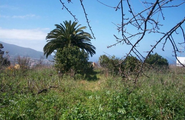 Casita con piscina privada del 5 al 15 de agosto