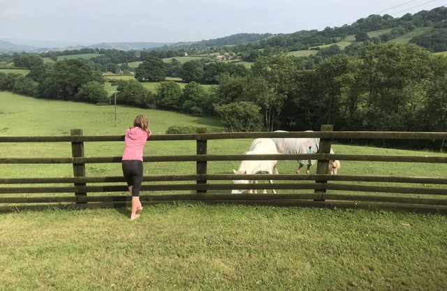 CottageOnFarmAndStablesEDevon, PicturesqueViews, NrJurassicCoast-CouplesDiscounts