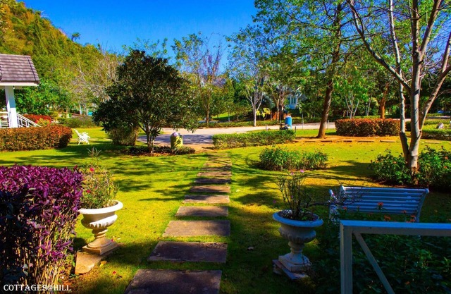 Cottages at Hill Resort