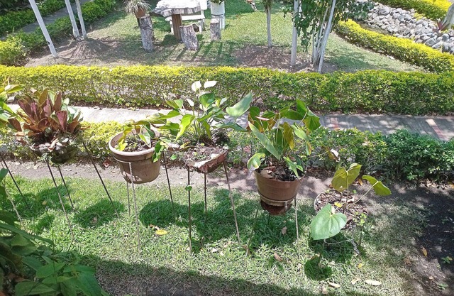 Country House Santa Elena - El Paraiso