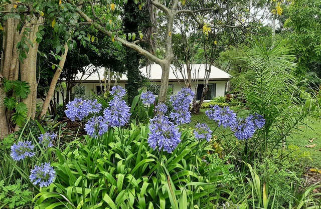 Country Cottage in Imbil (Mary Valley)