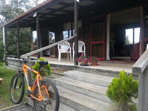 Country Cutie-Pie, close to town