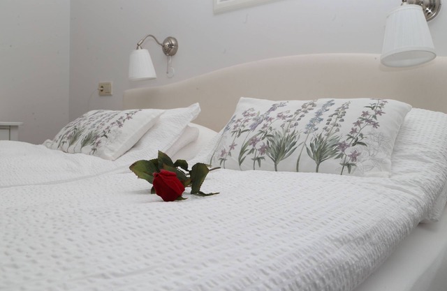 Country Dream guesthouse