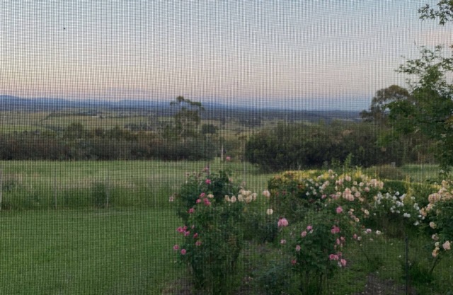 Country Escape