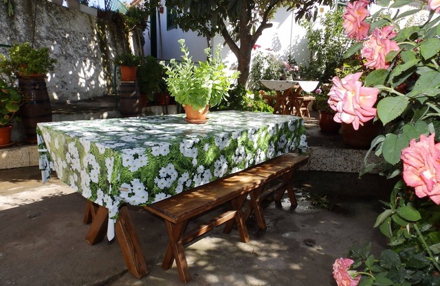 Casa rural Holliday en Vilaflor
