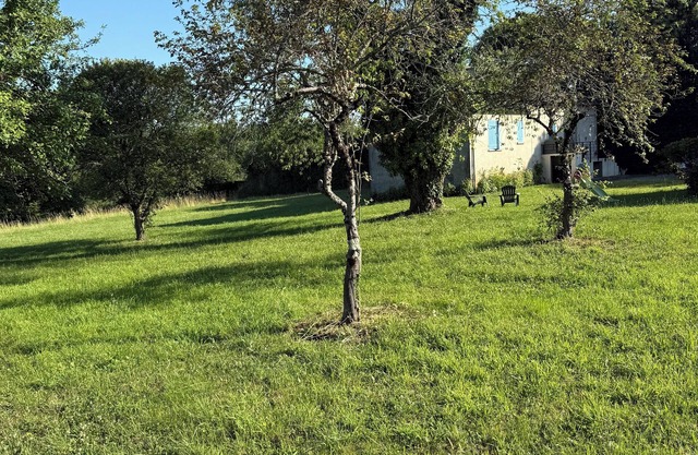 Country house in the heart of the Périgord Vert. Enjoy the peace and quiet of the garden