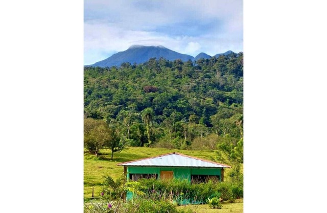 Casita de campo Los Guarumos
