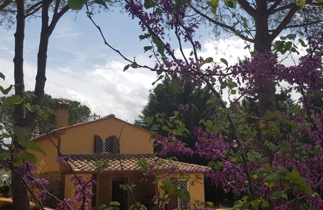 Casa de campo sobre la piedra inmersa en el verde de los olivos de la colina.