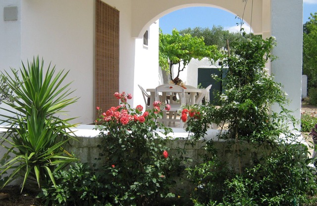 Casa de campo rodeada de olivos, a pocos km de Ostuni y el mar