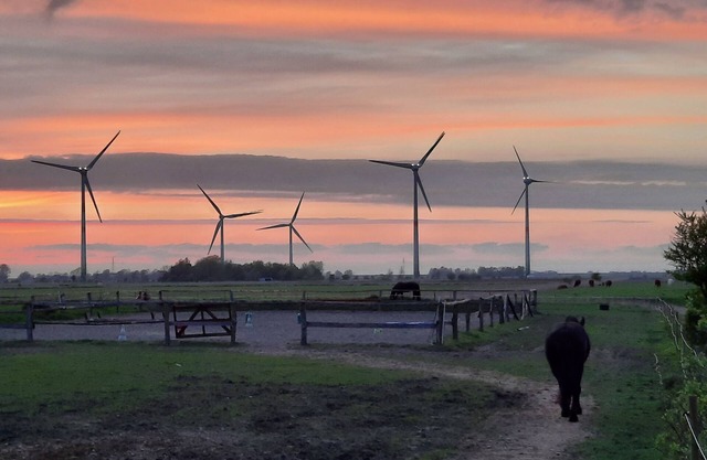 Country vacation on the North Sea at Martenshof with horses and other farm animals
